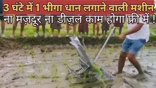 धान लगाने वाली मशीन 3 घंटे में बोए 1 एकड़ ज़मीन | Rice Planter, 10,000Rs रोज़ बचाये |Review, #farmer