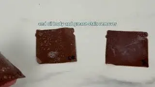 Enzymes + Agitation = the BEST Stain Removal