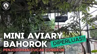 Mini Aviary Bahorok Diperluas dan Penjodohan Cucak Cungkok
