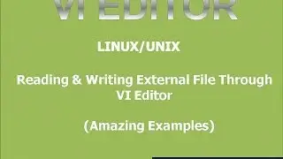 Vi Basic Reading and Writing From External file