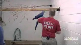 OKC Zoo Behind the Scenes Tour