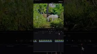 Edit Faster in Davinci Resolve - Selection follows Playhead