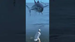 HILANG SEKETIKA‼️DOGTOOTH TUNA MENYAMBAR IKAN HASIL TANGKAPANKU #shorts #fishing #bigfish #trending