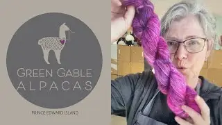 Green Gable Alpacas Live - Episode 1 - Everyone starts somewhere