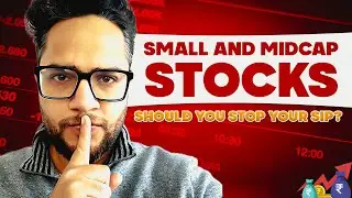 Stock market CRASH 2025 |Why small cap funds are falling |Should you exit Small&Midcap Mutual Funds