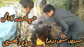 Struggling to Start the Old Tube Well | Village Life Hustle in Winter!😱 پیڑ نے ذلیل کردیا 😥