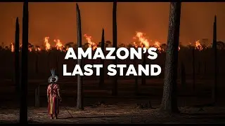 The Amazon&rsquo;s Last Guardians: One Tribe vs Deforestation