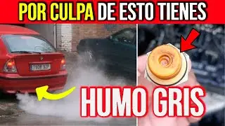 Humo GRIS en el ESCAPE esta es la Raz&oacute;n