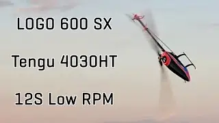 EGODRIFT Tengu 4030HT 500Kv | LOGO 600 SX | 12S LOW RPM