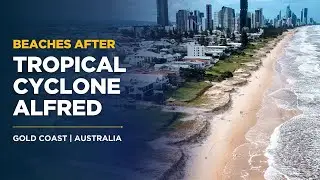 Drone Footage: Gold Coast Beach Erosion After Cyclone Alfred | Coastal Resilience in Action
