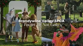 34th Annual Brandywine Valley SPCA Forget-Me-Not Gala - Entertainment by On It Productions