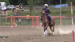 2^ tappa di Campionato regionale Marche di Gimkana Western 2017