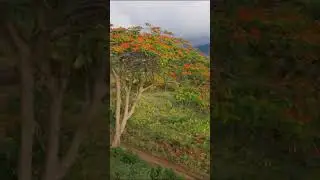 God's Own Country Beautiful Kerala