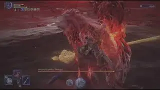 SSB Harmonia - Level 1, Solo [Parry, No Status]