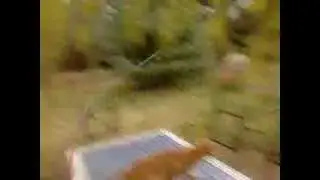 Chat agile