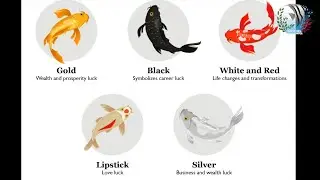 KOI FISH Bring Wealth,Health, LOVE , ETC