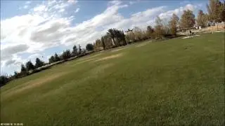 ZMR250 Carbon Fiber Mini Quad