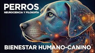Perros: Neurociencia y Filosofía