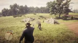 RDR2 High Velocity Ammo Simultaneous Double Headshot