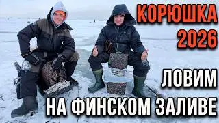 Корюшка, первая рыбалка 2026 года.