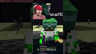 YEP... It was worth it (Hardcore Oneshot SMP)