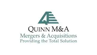 What buyers of professional services firms look for and how they will determine value