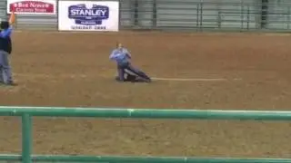 CTYRA 2016 goats
