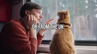Bringing your pet on Eurostar?