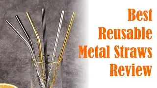 Best Reusable Metal Straws Review - Stainless Steel Pocket Drinking Straw With Cleaning Brush