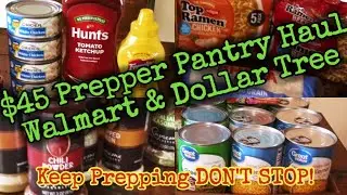 $45 Prepper Pantry Haul Wal-Mart & Dollar Tree/Keep Prepping Don't Stop