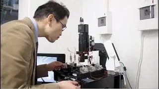 Tohoku University, World Leading Researchers in Spintronics