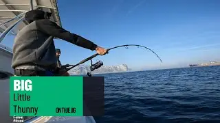 Bacoretting - BIG False Albies on the jig. Gibraltar