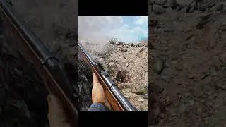Bayonet CHARGE!