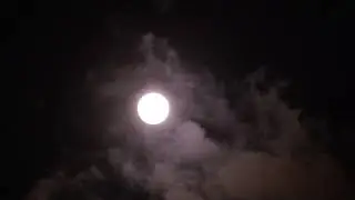 Xiab 15 | Full moon with dog howling sound | yaamaixi