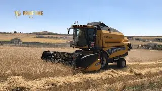 İLK HASAT 2020 | New Holland TC5.80 #Arpa #Buğday #Ekin #Ankara #Altındağ #Gicik @PRIME TIME BEST