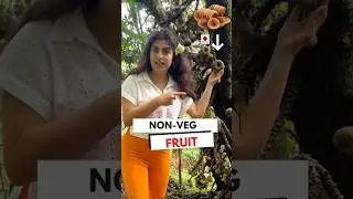 Are figs non vegetarian | figs are vegetarian | fact or myth | figs | anjeer | non veg fruit