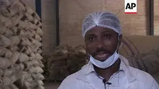 Cocoa exporter pushes for more local chocolate production