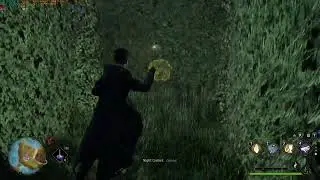 Hogwarts Legacy PC - Cragcroftshire Hedge Maze Walkthrough