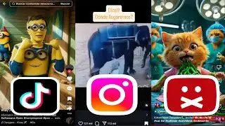 Fenomenos Que Perturbaron Las Redes Sociales 💀