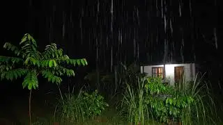 ️ Heavy Rain with Gentle Thunder Sounds for Deep Sleep & Calm Mind