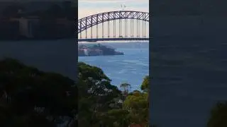 Stunning Aerial View of Sydney Harbour Bridge with Drone. 🌉 #skyperthstockvideos #drone #sydney