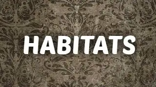 HABITATS: By ice learning