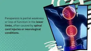 Paraparesis: Lower Limb Weakness due to Spinal Cord or Neurological Factors.