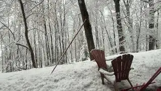 Civil Disobedience Audiobook Henry David Thoreau