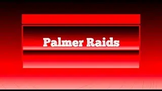 The Palmer Raids