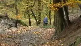 Colours of Autumn in Bohemian Eden, Czech Republic