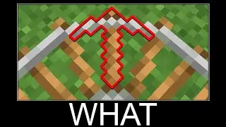 Minecraft WAIT WHAT #1856