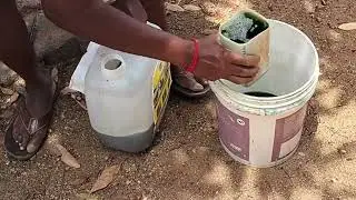 TNAU Tonic  Root Feeding #youtubeshorts #trending #vivasayam #youtube #coconut #tnautonic #organic 