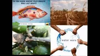 Globalisation of Food 3 of 3