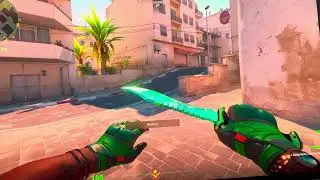 Bowie gamma doppler phase 2 and Moto gloves Turtle